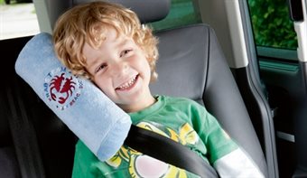 Seat Belt Pillows & Covers