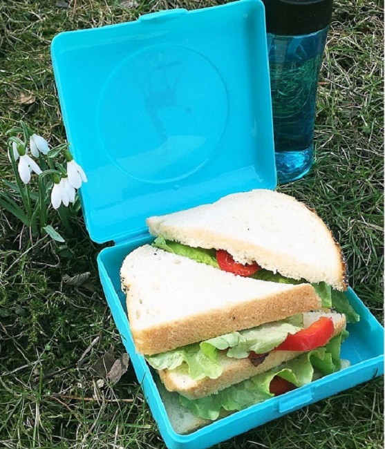 Sandwich box Carl Oscar Blue Giraffe