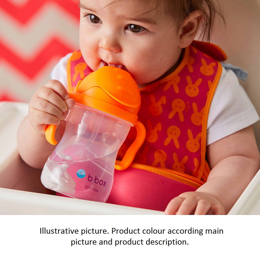 Sippy cup and water bottle for kids B.box