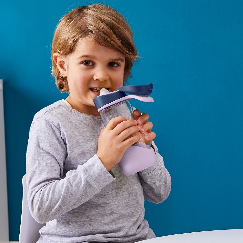 Water bottle for children B.box Spout Indigo Rose