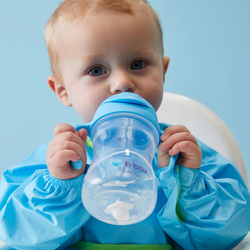 Sippy cup and water bottle for kids B.box Blueberry