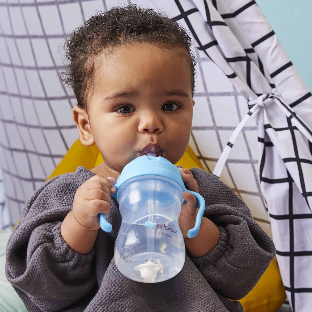 Sippy cup and water bottle for kids B.box Blueberry