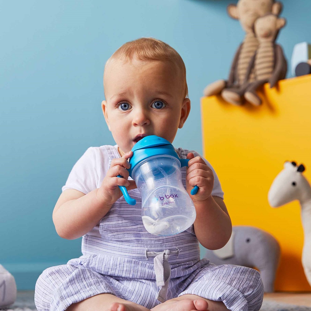 Sippy cup and water bottle for kids B.box Blueberry