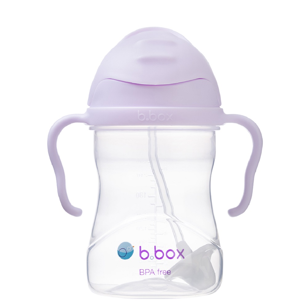 Sippy cup and water bottle for kids B.box Boysenberry