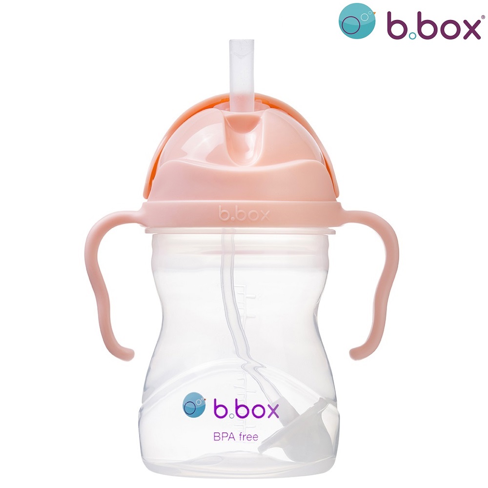 Water bottle for children B.box Sippy Cup Tutti Frutti