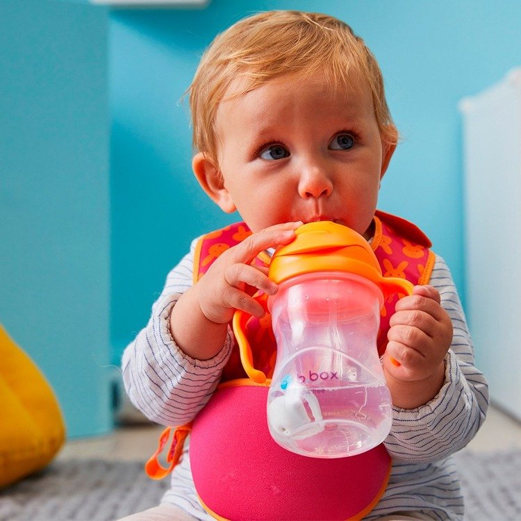 Sippy cup and water bottle for kids B.box Orange Zing