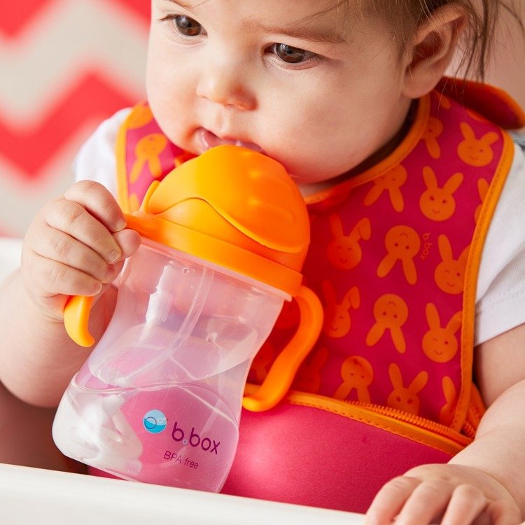 Sippy cup and water bottle for kids B.box Orange Zing
