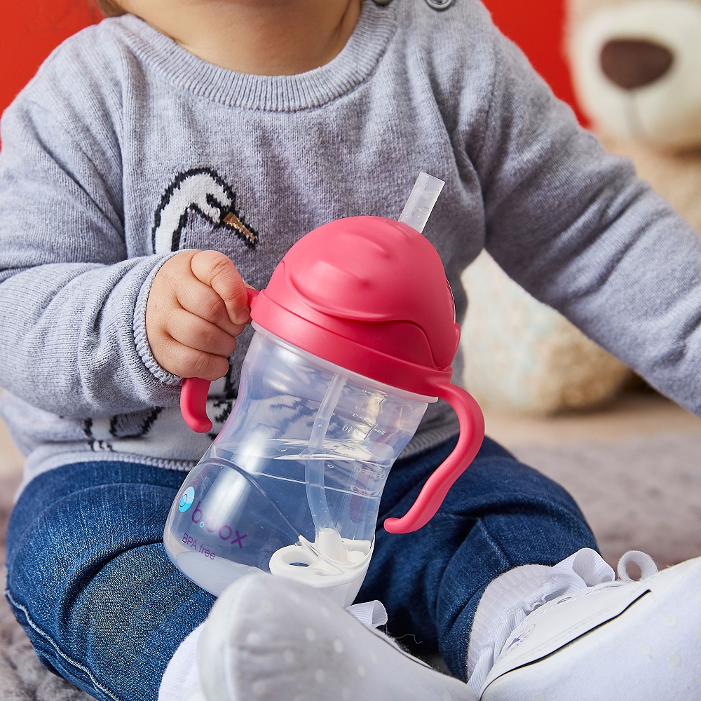 Sippy cup and water bottle for kids B.box Raspberry