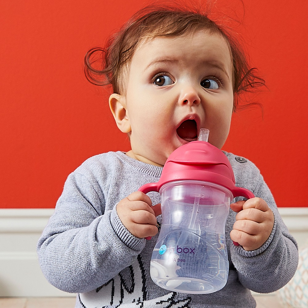 Sippy cup and water bottle for kids B.box Raspberry