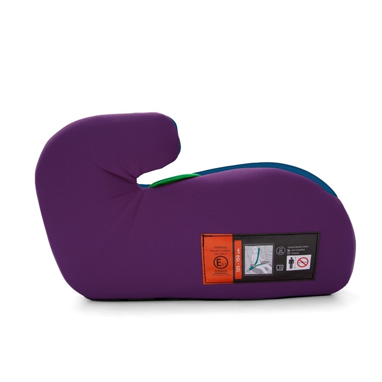 Car Booster Seat Frozen