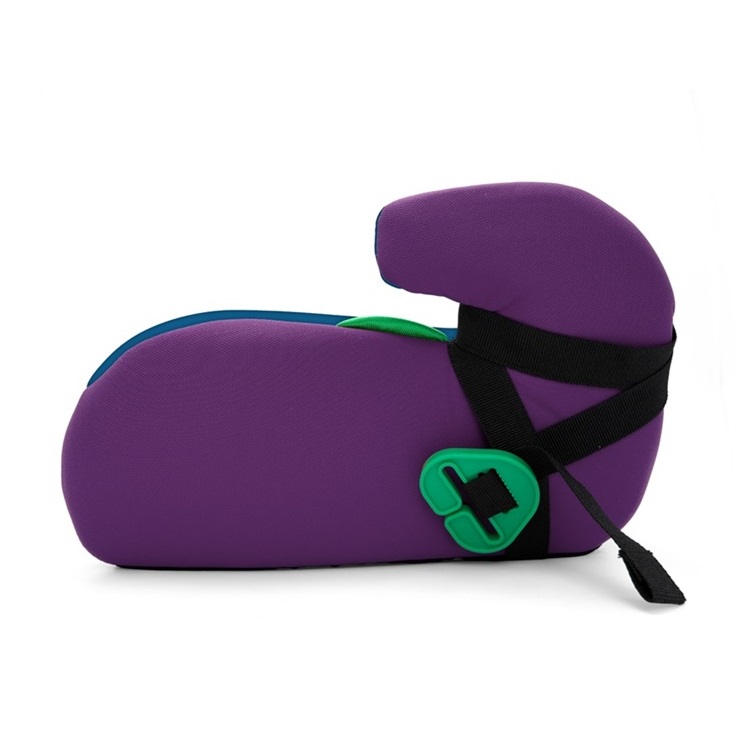 Car Booster Seat Frozen