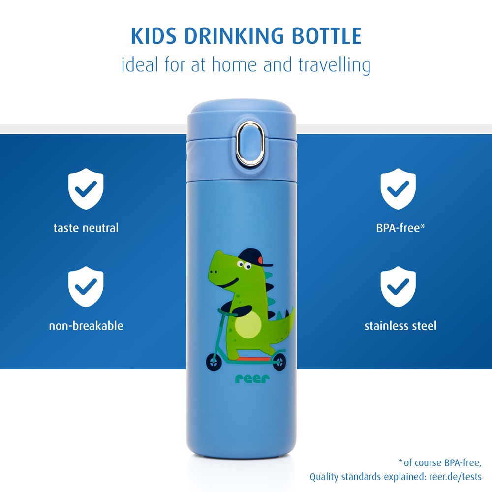 Steel Drinking Bottle with Straw - Reer Dino