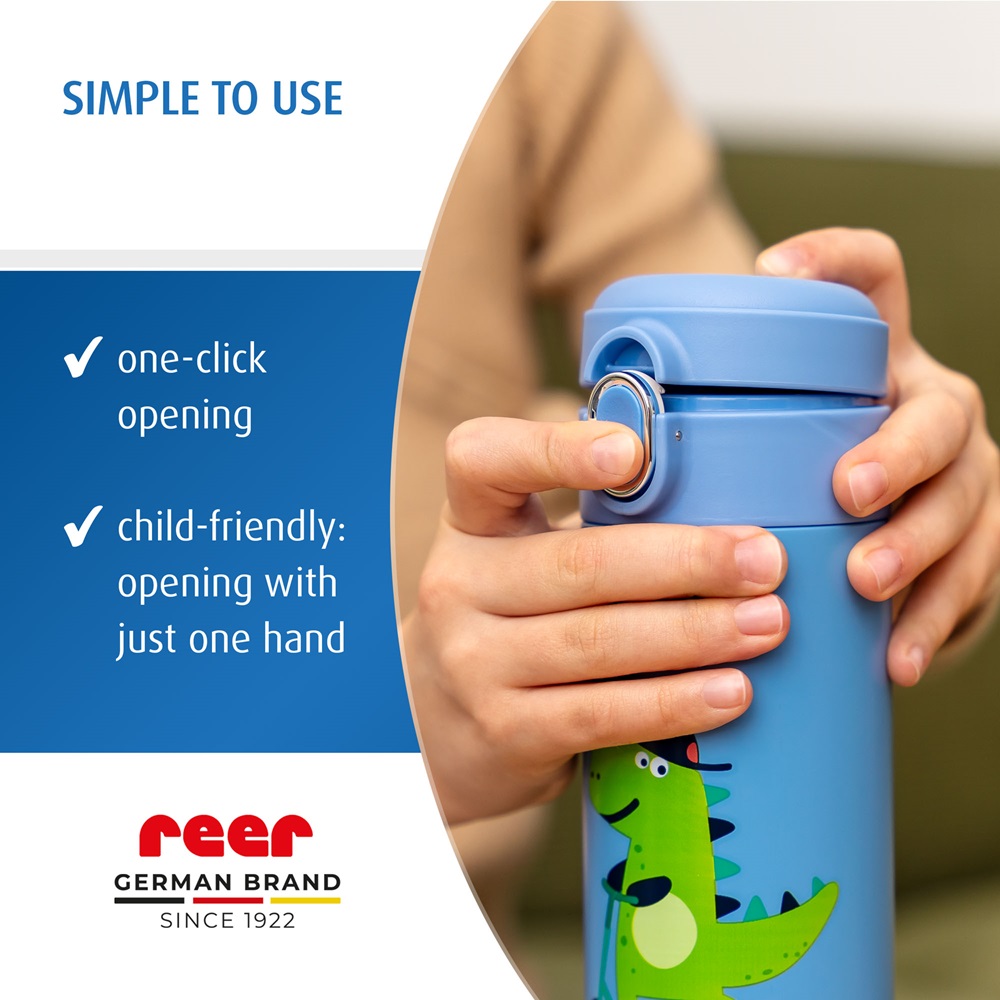 Steel Drinking Bottle with Straw - Reer Dino