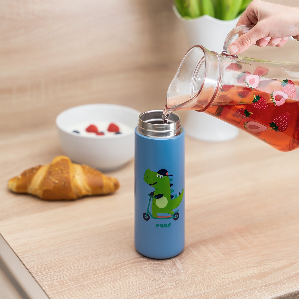 Steel Drinking Bottle with Straw - Reer Dino