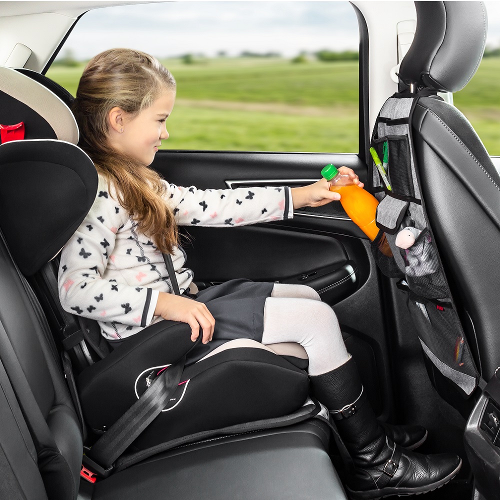 Car backseat organizer Reer TravelKid