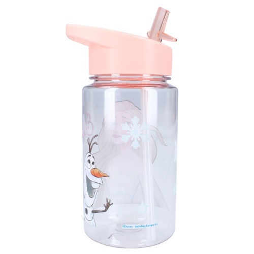 Kids' water bottle Frozen