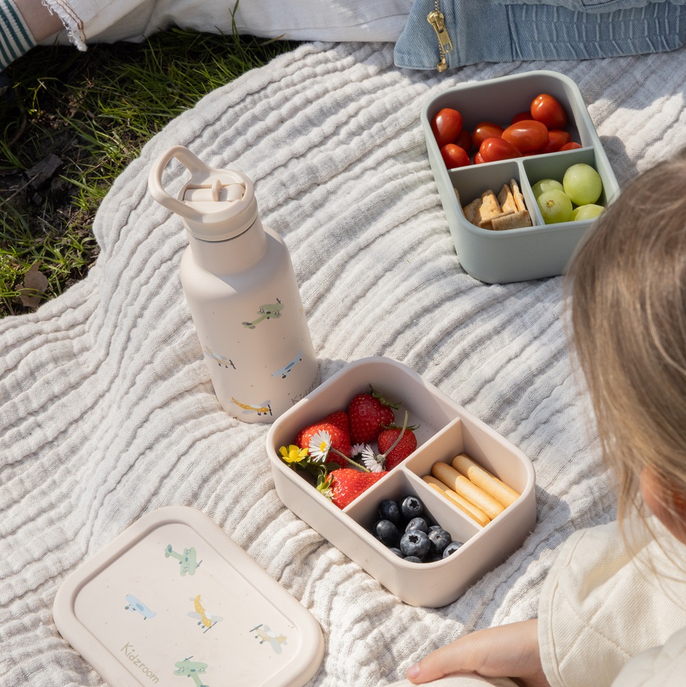 Metal drinking bottle for kids Kidzroom Aircrafts